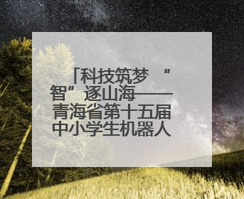科技筑梦 “智”逐山海——青海省第十五届中小学生机器人竞赛 暨第八届创新设计大赛见闻